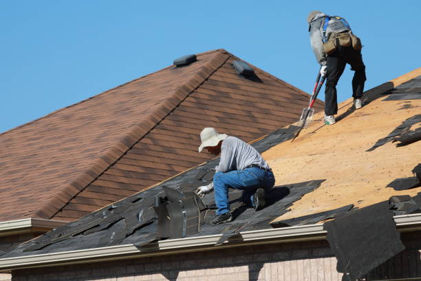 Best Metal Roofing Installation  in Kensett, AR