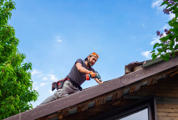 Best Asphalt Shingle Roofing  in Kensett, AR